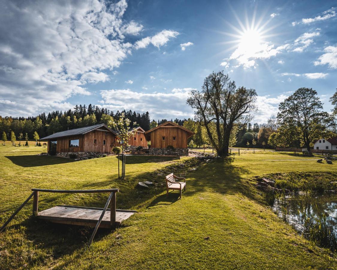 Hotel apartamentowy & Wellness Knizeci Cesta