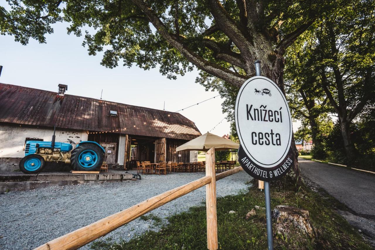 Hotel apartamentowy & Wellness Knizeci Cesta Horní Planá