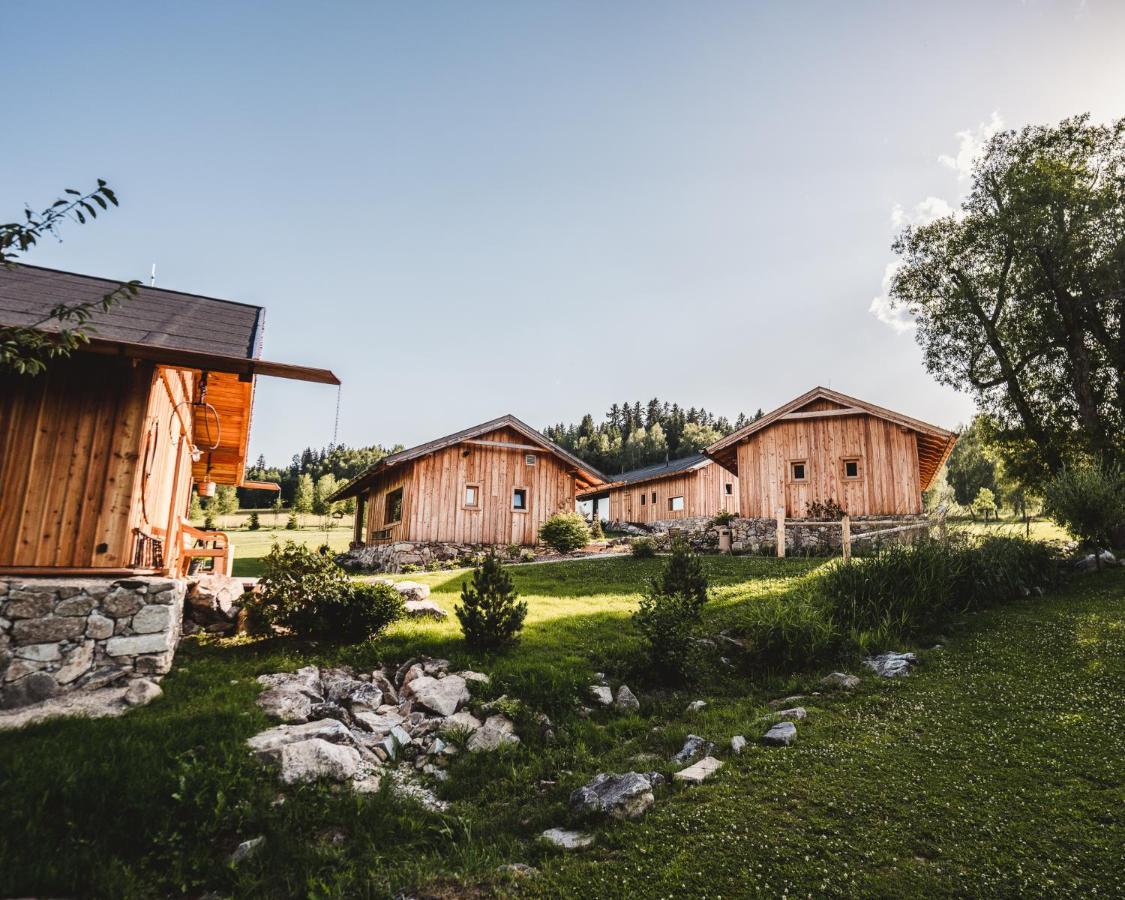 & Wellness Knizeci Cesta 4* Horní Planá
