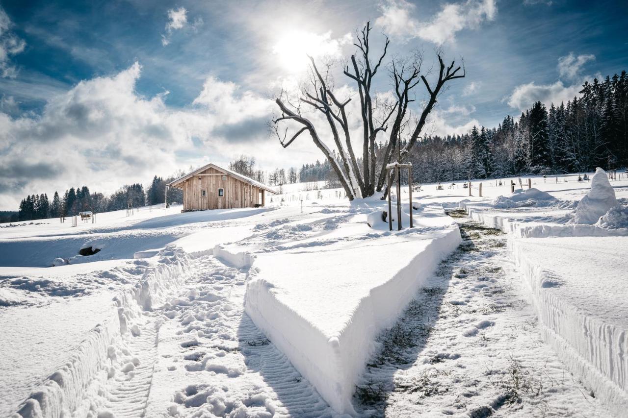 & Wellness Knizeci Cesta 4* Horní Planá